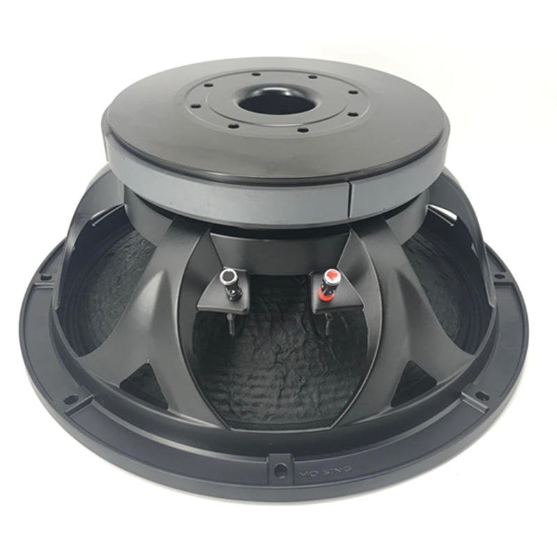 Ferrite magnet woofer